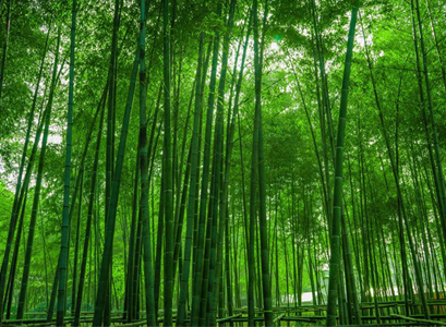 resource/images/5b7509d42e784f1797bfd03f949d67e0_26.jpg resource/images/5b7509d42e784f1797bfd03f949d67e0_26.jpg