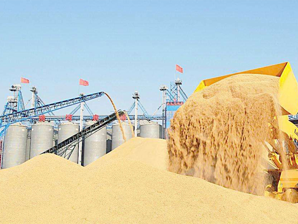 稻子600450 稻子600450